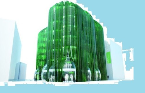 Algae Urban Farm, green future