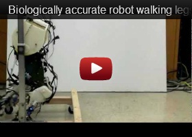 Robotic Legs, future technology