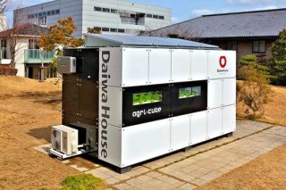 Agri-Cube, Daiwa, Daiwa House, innovations in technology, Japanese technology, hydroponics