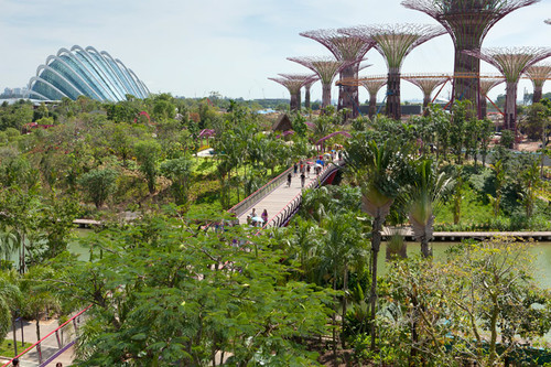 Wilkinson Eyre Architects, Singapore's Gardens, Bay Scoops, World Building of the Year Award, World Architecture Festival, Sustainable Design, Eco Architecture