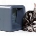 Gatefeeder, RFID technology, Gatefeeder cat feeding system, latest technology, technology news, futurist technology