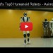 Humanoid Robots, Asimo, HPR-4, NAO, future robots, future is now, futuristic, robot, humanoid robot