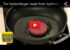 Frankenburger, future food, synthetic meat, synthetic food, stem cells, burger, meal