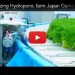Future Food, Hydroponic Farm, Japan, Gandpa Dome, Futuristic, Future Trends