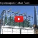 GrowUp, Aquaponic, Urban Farm, Christopher Barnatt, future food, London, Kate Hofman, Tom Webster