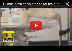 Human Brain, Rat Brain, Harvard, Neuroscience, Futuristic, Neurotechnology, mind control, brain control