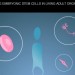 CNIO: Producing Embryonic Stem Cells In Living Adult Organisms, futuristic technology, future trends, health, future medicine