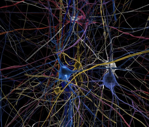 The Human Brain Project Has Officially Begun, Simulated neuronal network, future technology, neuroscience, robotics, futuristic