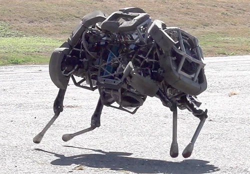 boston-dynamics-wildcat-quadruped-futuristic-robot-future-military-technology.jpg