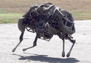 Boston Dynamics Announces New "WildCat" Quadruped, Military Robot, Futuristic Technology