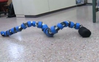 Futuristic Robot, Amir Shapiro, Snake robot ready for search and rescue missions, Ben-Gurion University