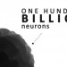 Futuristic Technology, Ken Hayworth, Future Mind, neurons, future brain, future neuroscience, future neurotechnology