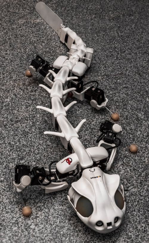 Futuristic Robot, Pleurobot: Multimodal Locomotion In A Bioinspired Robot. BioRob, EPFL, NCCR Robotics, Future Robots