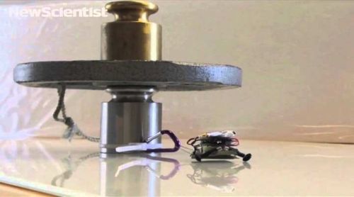 Tiny Robots Climb Walls Carrying More Than 100 Times Their Weight, The Future of Robotics, Superstrong Robots