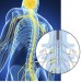 Organic ion transistor blocks pain signals from reaching the brain, Futuristic, Augmentation, Future Meidicne, Nneuroscience, Implant, Cyborg