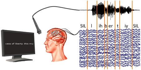 Researchers Able to Perform Speech Recognition from Brain Activity, Neuroscience, Futuristic Technology, Mind, Neurotechnology, Brain-to-Text system