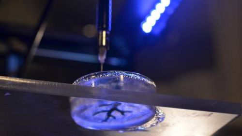 The Future of Medicine, Soft Material Bioprinting, Regenerative Medicine, Adam Feinberg, 3D Printing, Carnegie Mellon University, Rebuilding the Heart, New Materials, Hydrogel