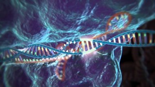 Genome Editing with CRISPR-Cas9, Futuristic Technology, Genetics, Future Medicine, Treat Genetic Diseases, McGovern Institute for Brain Research at MIT, Zhang Lab