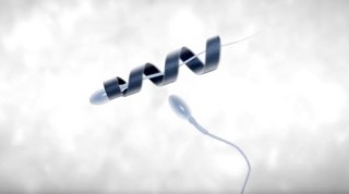 Spermbot Could Help Solve Male Infertility. The Future of Medicine, Health, Nanotechnology
