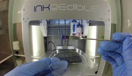 The Future of Medicine, 3D Bioprinting, 3D Printing Could One Day Help Fix Damaged Cartilage In Knees, Noses And Ears