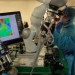 The Future of Medicine, Robot Performs Successful Surgery On Pig, The Future of Robotics, The Future of Surgery, Soft-Tissue Surgery
