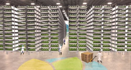 The Future of Agriculture, Vertical Farm, AeroFarms Inc, The Future of Food, Aeroponic Vertical Farm, Future Trends, Hydroponic Farm
