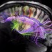 Neuroscience, The Ultimate Brain Map, Futuristic Technology